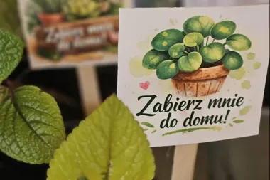 Rośliny i książki znalazły nowych właścicieli w zielonogórskim Keplerze